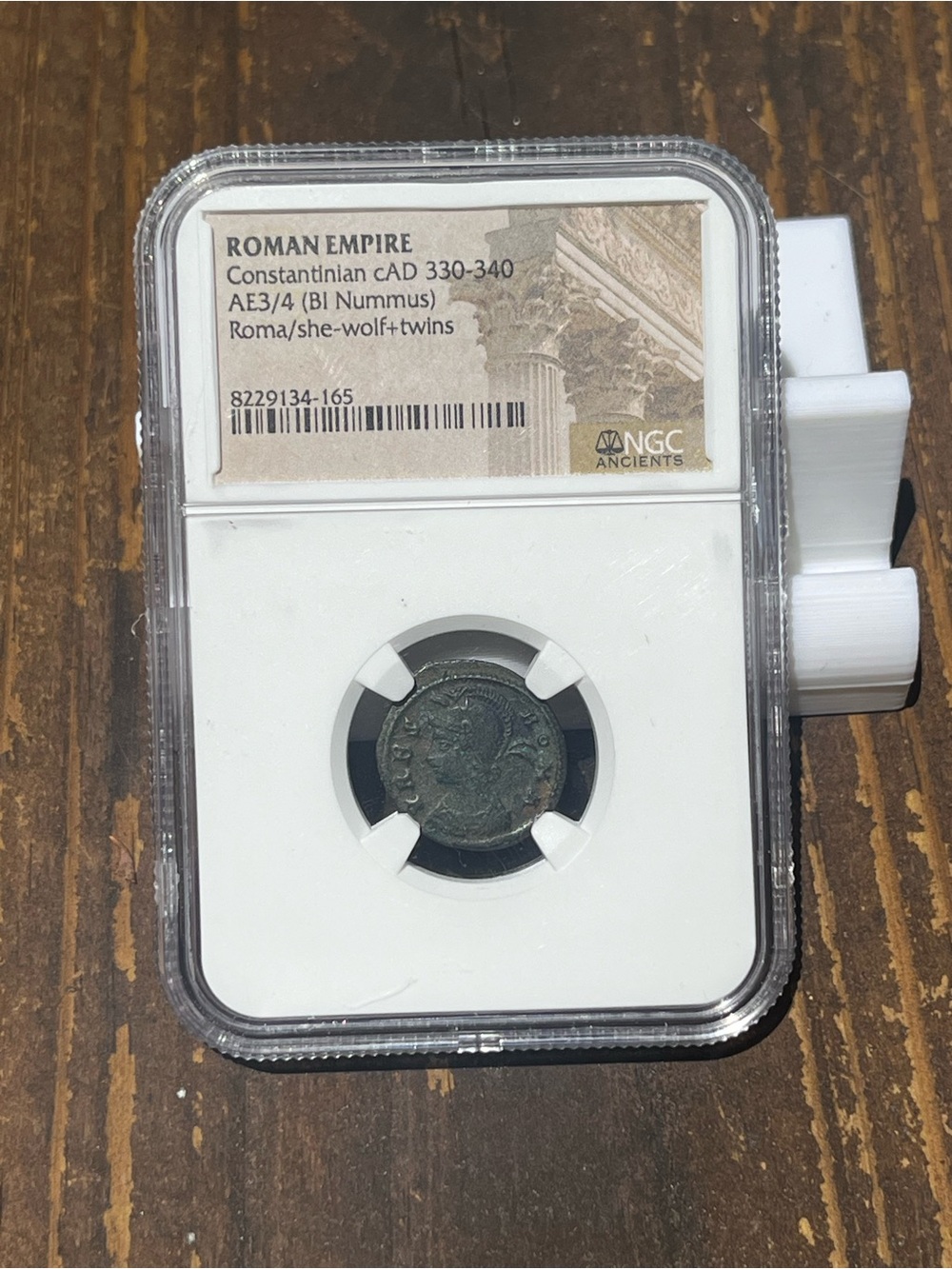 Roman Empire AE3/4 Coin - Green/Bronze she/wolf!!